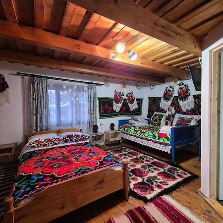 La Rodica In Vale Guest House Ocna Şugatag Екстериор снимка