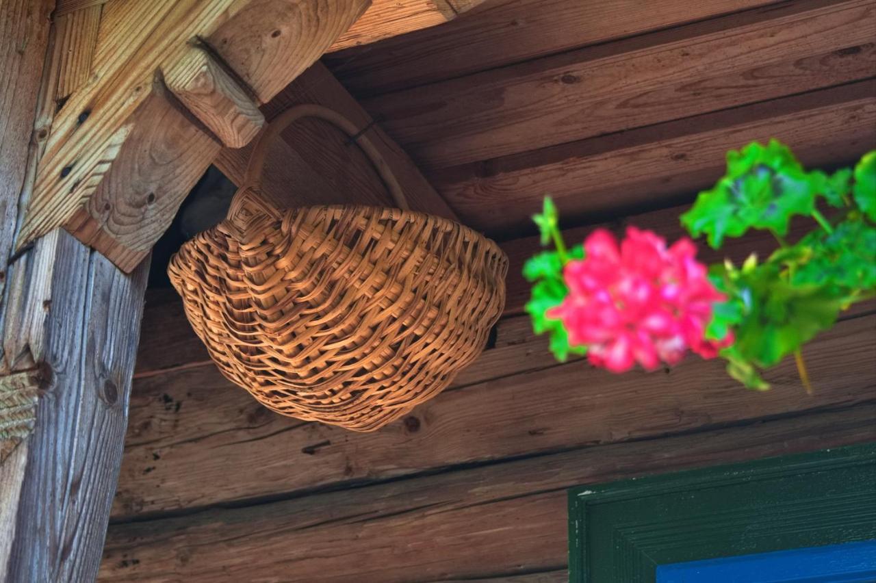 La Rodica In Vale Guest House Ocna Şugatag Екстериор снимка
