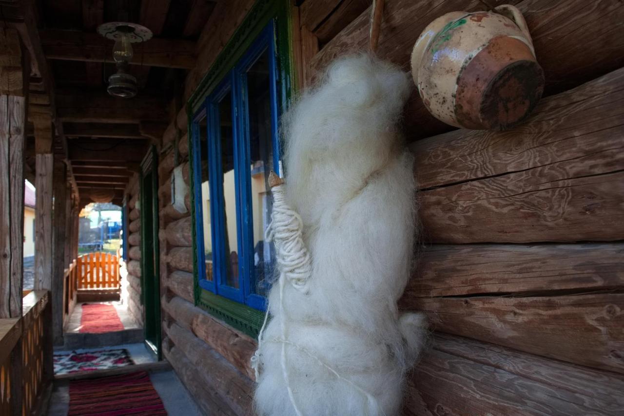 La Rodica In Vale Guest House Ocna Şugatag Екстериор снимка