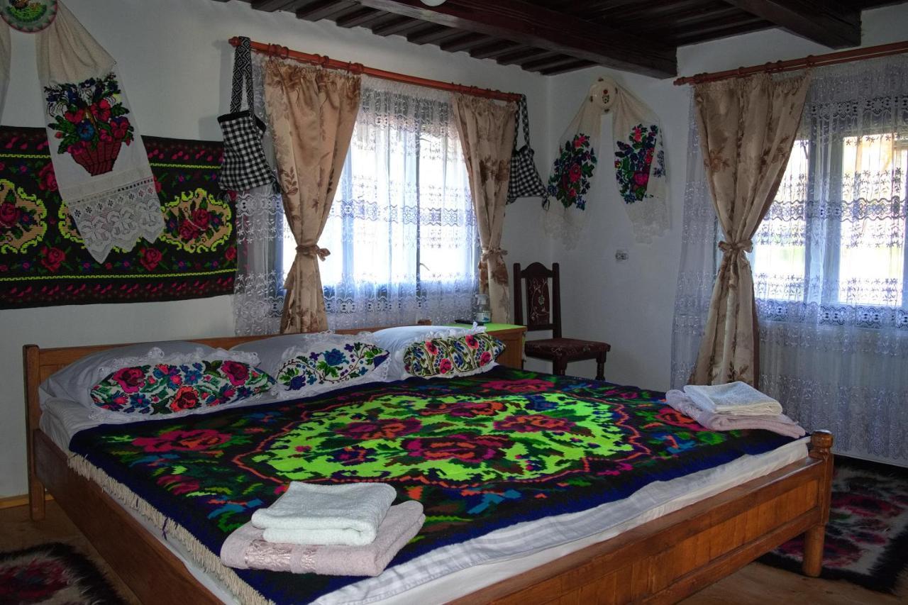 La Rodica In Vale Guest House Ocna Şugatag Екстериор снимка