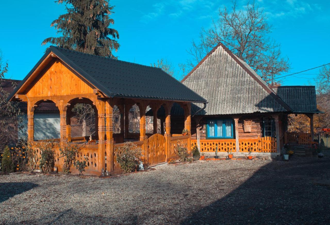 La Rodica In Vale Guest House Ocna Şugatag Екстериор снимка