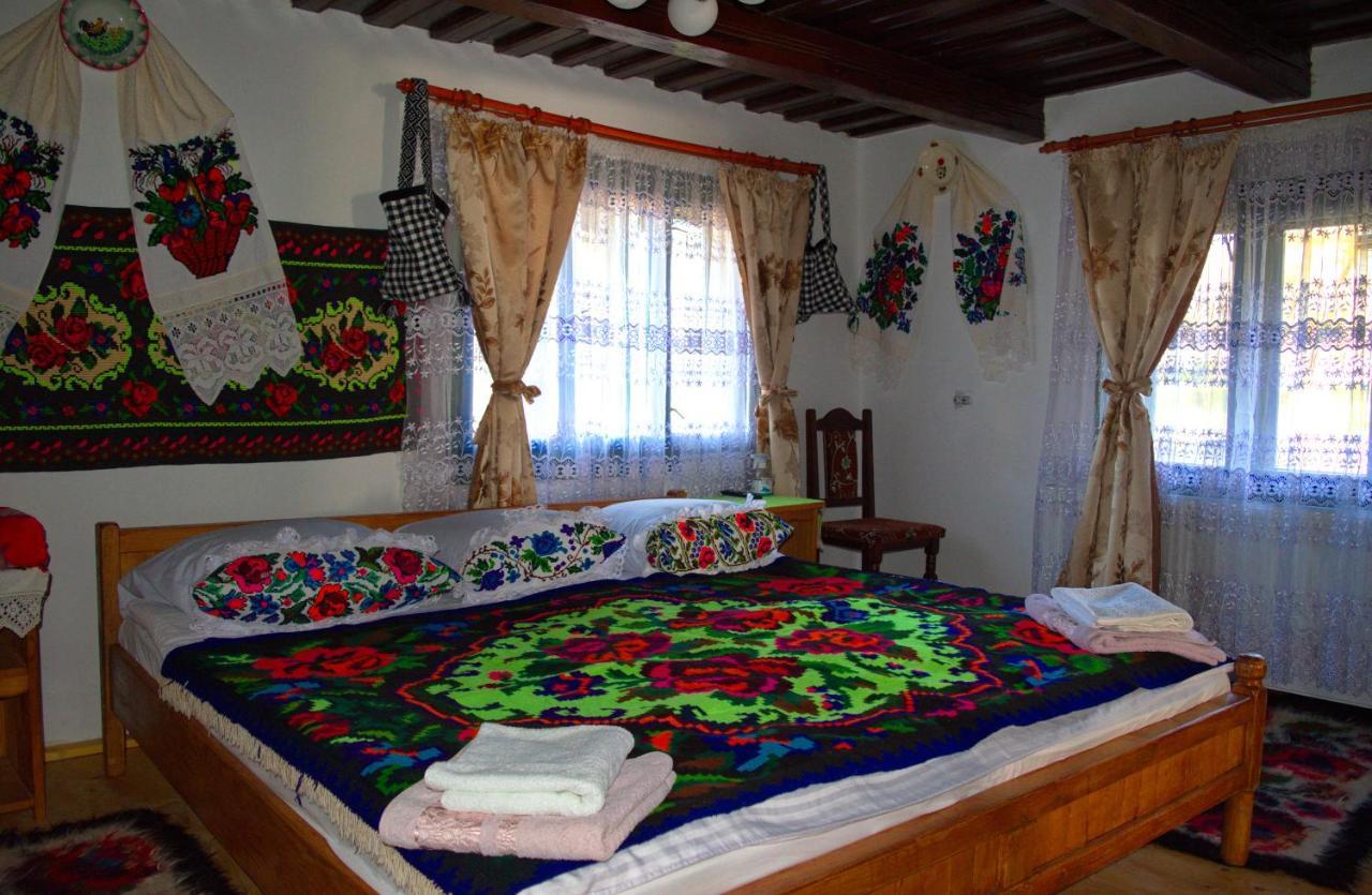 La Rodica In Vale Guest House Ocna Şugatag Екстериор снимка