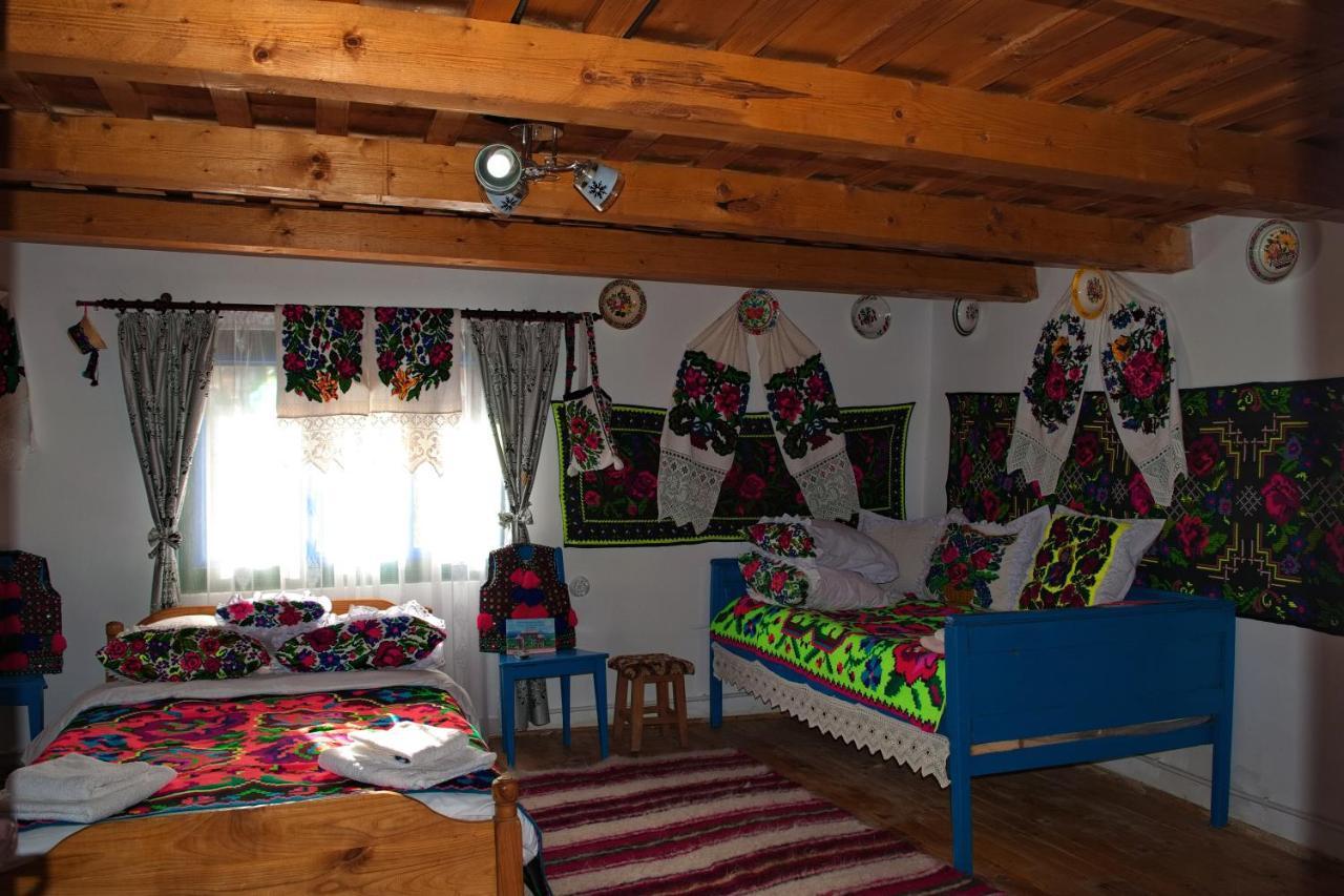 La Rodica In Vale Guest House Ocna Şugatag Екстериор снимка