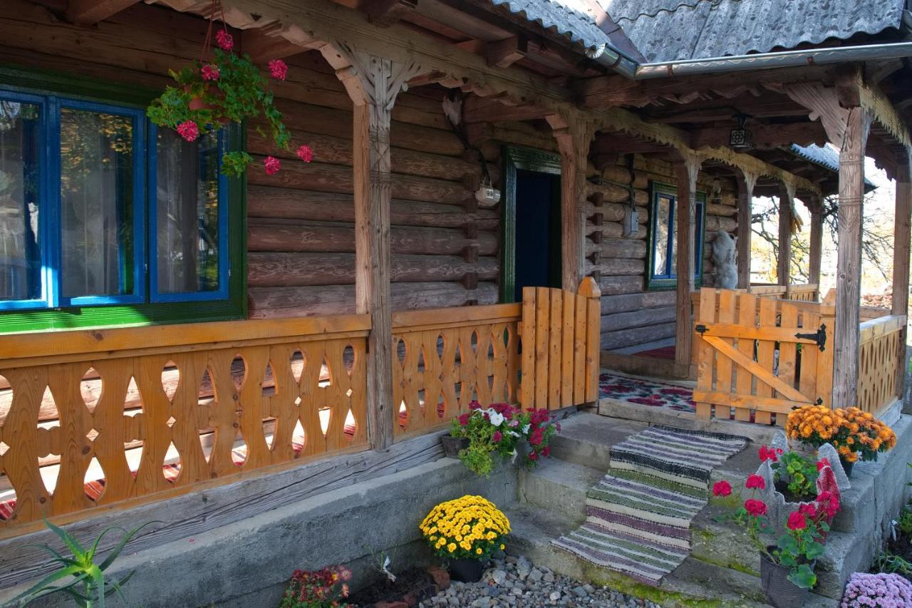 La Rodica In Vale Guest House Ocna Şugatag Екстериор снимка