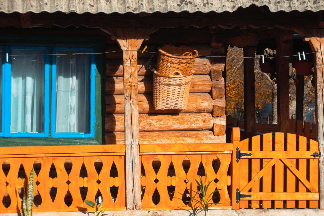 La Rodica In Vale Guest House Ocna Şugatag Екстериор снимка
