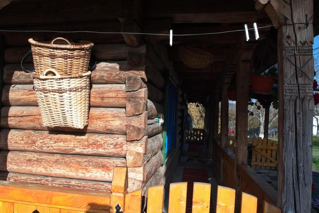La Rodica In Vale Guest House Ocna Şugatag Екстериор снимка