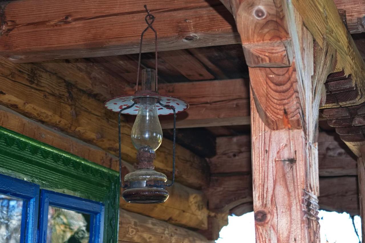 La Rodica In Vale Guest House Ocna Şugatag Екстериор снимка